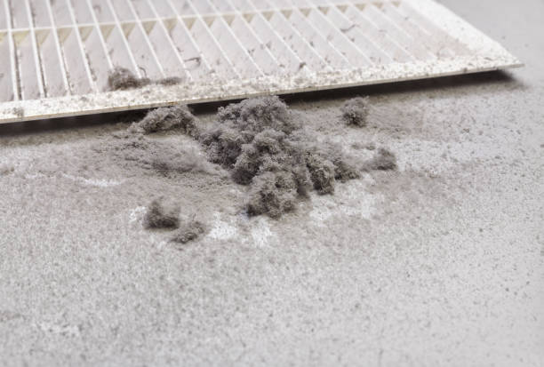 Best Local Air Duct Cleaning Services  in Taos, MO