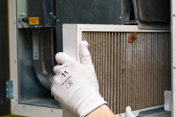Best Local Air Duct Cleaning Services  in Taos, MO